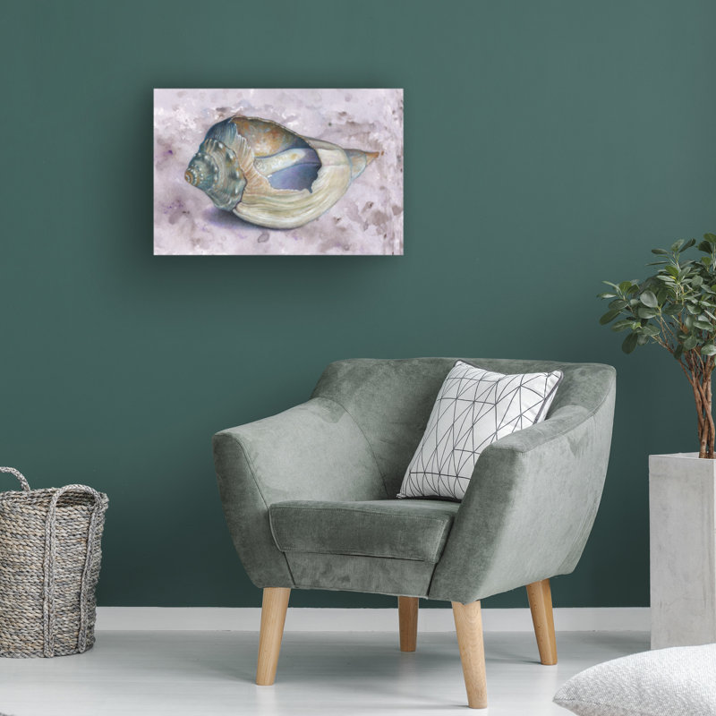 Donna Basile Conch Shell Canvas Art, 12" H x 19" W