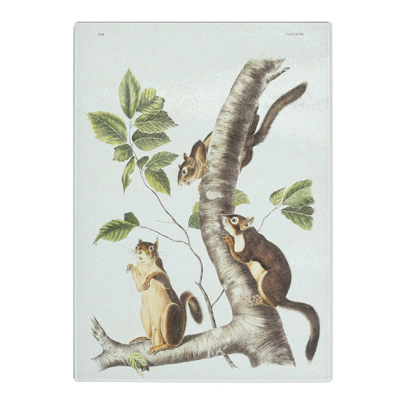 Tempered Glass Douglass's Squirrels by J.W. Audubon Chopping Board, 28.5cm W x 20cm L