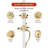 Springdale Handleset with Single Cylinder Deadbolt and Door Knob-93722736