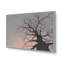 «Gnarled Tree I» par Michael Willett, reproduction d'art-1595130699-1595130701-1595130697