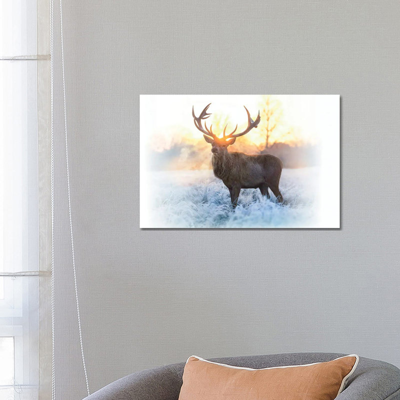 Emperor Of The Cold By Max Ellis - Wrapped Canvas Photograph by Max Ellis - Wrapped Canvas Print
