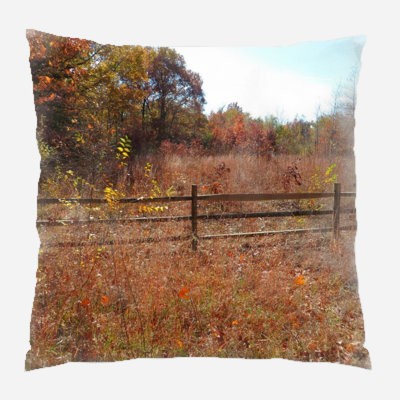  Coussin décoratif intérieur / extérieur Fall