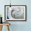 White Rose - Single Picture Frame Painting on MDF-56739389-56739390