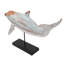 Dauphin nageur sur pied