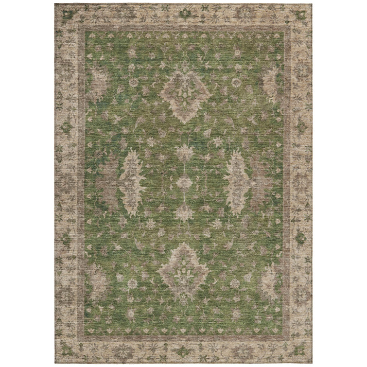 Machine Washable Indoor/Outdoor Xhevrie Aloe Rug