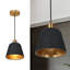 Luminaire suspendu industriel moderne 1 lumière noir