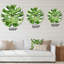 Feuille verte de Monstera vert - détail de botanique - horloge murale-60327596