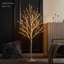 Lighted Birch Tree 200l 4ft