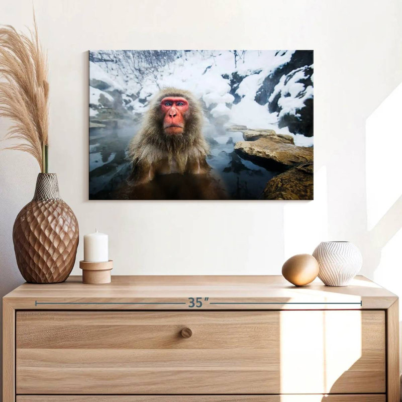 Brampt Serious Japanese Snow Monkey
