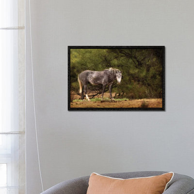 Dapple Grey Arizona Wild Horse by Susan Richey - Gallery-Wrapped Canvas Giclée on Canvas