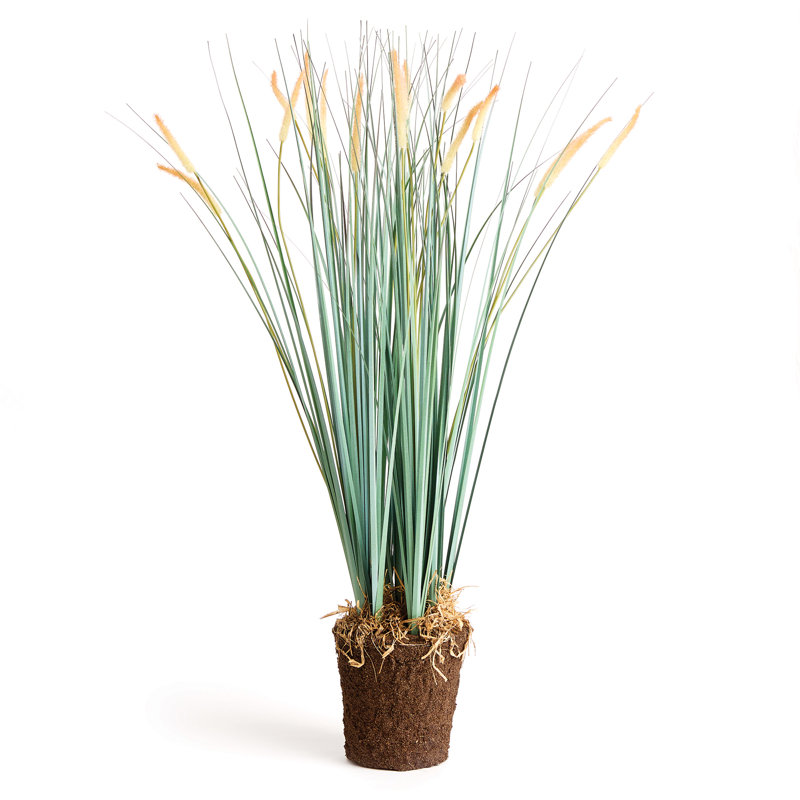 Herbe artificielle 35 po Queensland