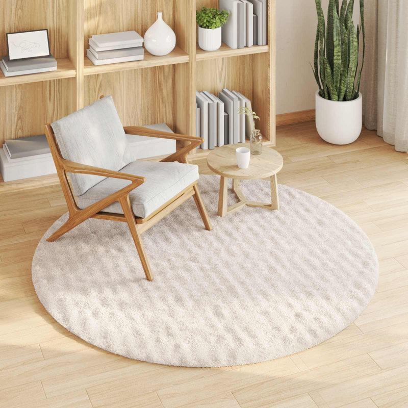 Modern Indoor Rug, Round 200 cm, Beige