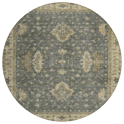 Machine Washable Indoor/Outdoor Xhevrie Gray Rug