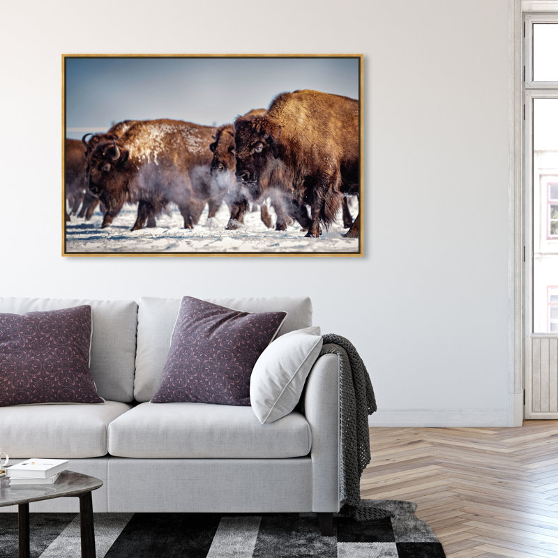 Buffalo Herd In A Snow Landscape Print, Wrapped Canvas, 36" H x 54" W
