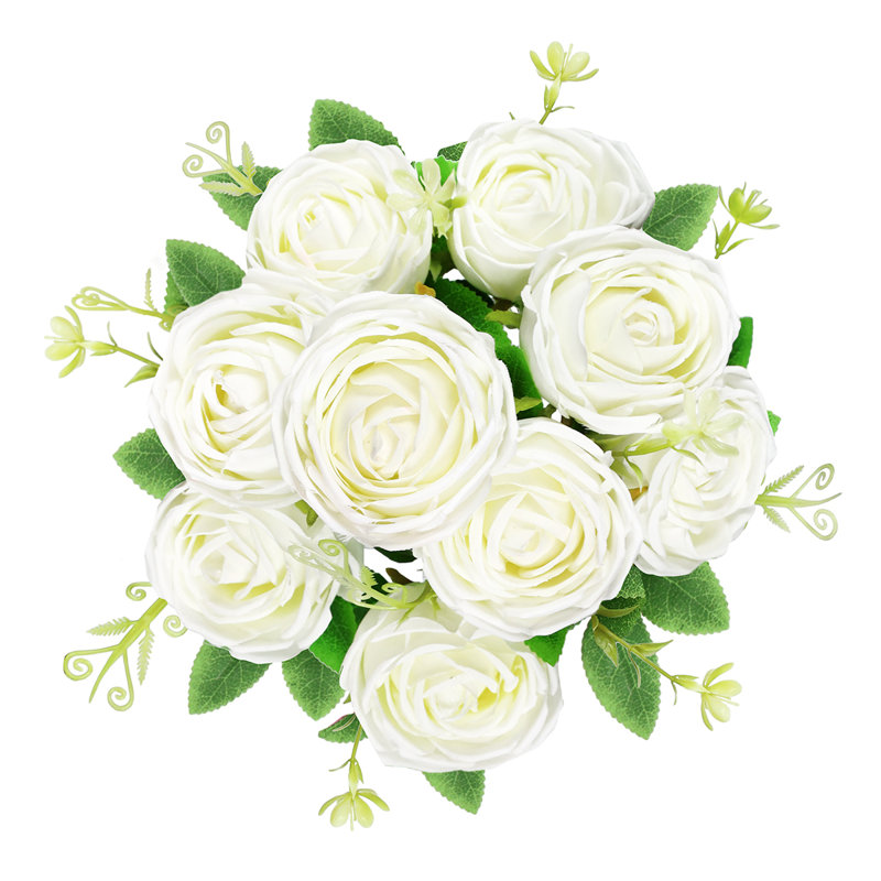 Rosiers Torres, Blanc crème