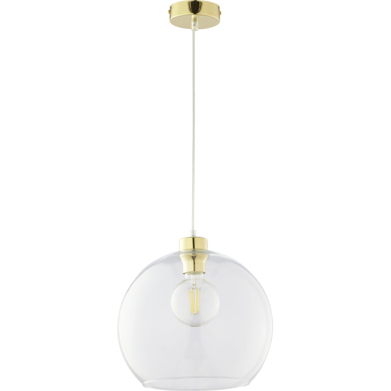 Birchwood 1 - Light Single Pendant, Clear, Gold