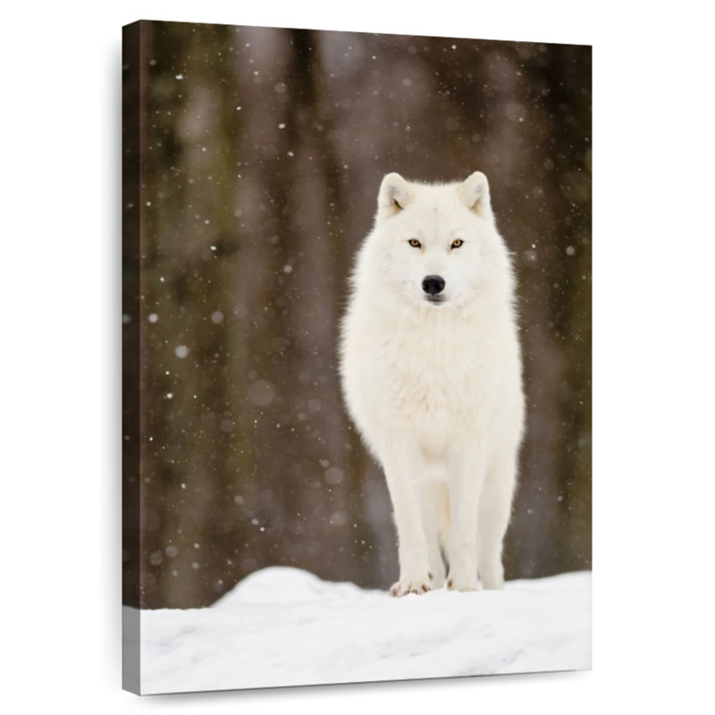 Magnifique loup, H 24 po x l 16 po