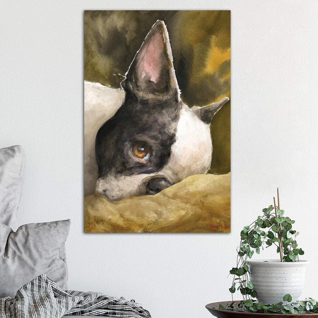 Boston Terrier With Background by George Dyachenko - Wrapped Canvas Painting