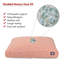 Coussin orthopédique tours-35291576-35291575