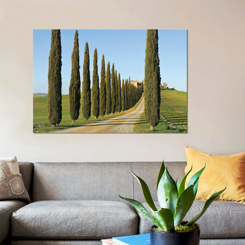 « cypress lineed saleté road », reproduction de photo sur toile, H 18 po x l 26 po x P 1,5 po, Toile avec cadre noir