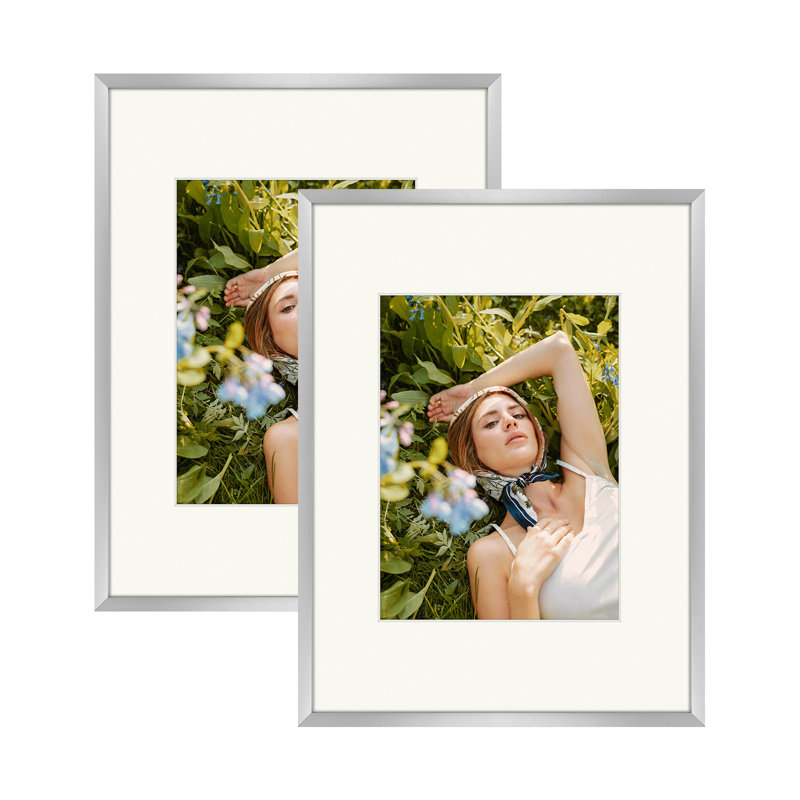 Cadre photo en métal avec passe-partout - Basics by Wayfair ™, Argent, 9 po x 12 po emmêlé à 6 po x 8 po