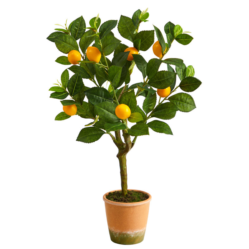 24" Faux Lemon Tree in Weathered Terra-Cotta Planter