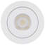 Étoile de mer à DEL 9 watts à cardan et Downlight 4 pouces 2700K-5000K RVB avec télécommande blanche-118775372