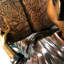 Dog Yorkshire Terrier Bronze Garden Statue
