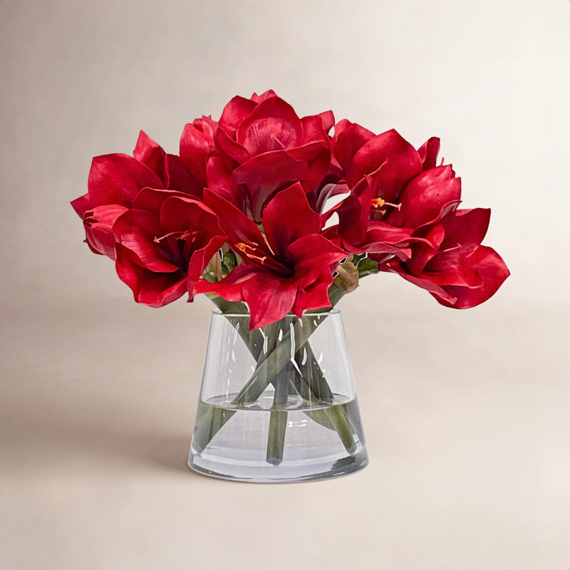 AMARYLLIS IN VASE, Red