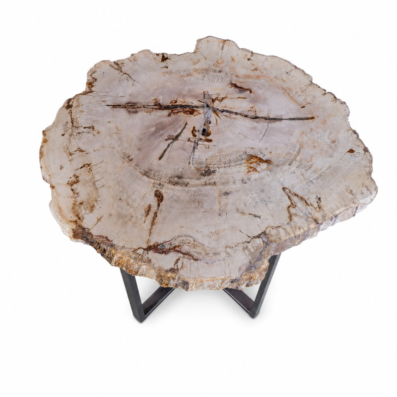 Ciani Solid Wood End Table