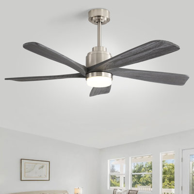 Damecia 52'' Ceiling Fan with LED Lights