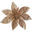 Angelicque Polyethylene (PE) Poinsettia Arrangement-295028127