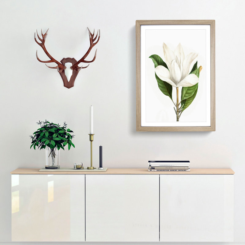 White Southern Magnolia Flower by Pierre-Joseph Redoute - Picture Frame Art Prints, Oak Framed, 36cm H x 27cm W x 2cm D