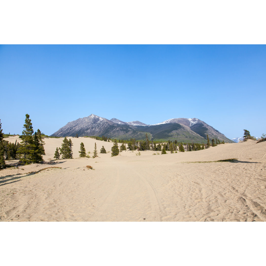 Carcross Desert von Incomel - Foto ohne Rahmen auf Leinwand