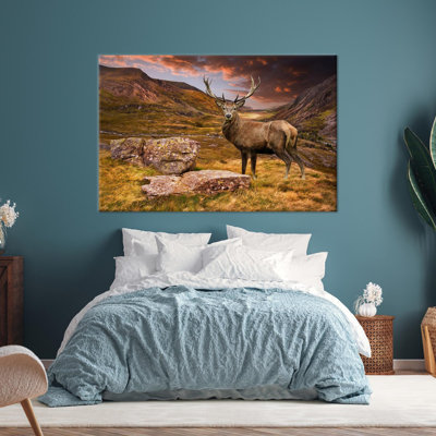 Print on Canvas