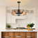 49cm Black Farmhouse Caged Chandelier Ceiling Fan with Light Kit and Remote