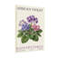 Plantes et fleurs - motif de plantes Saintpeteria-1044007275