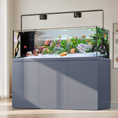 Aquarium moderne en verre ultra-transparent