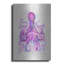 Art mural en métal Breakwater Bay «Octopus Rainbow Splash Pink» par Fab Funky-1668003211