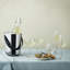 Premium Drinking Glass