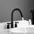 Lodosa 2-handle Bathroom Faucet-69415422