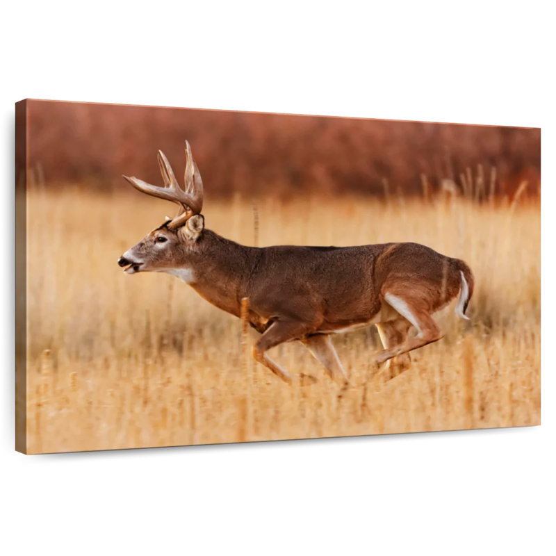Brampt Running Buck, 8" H x 12" W