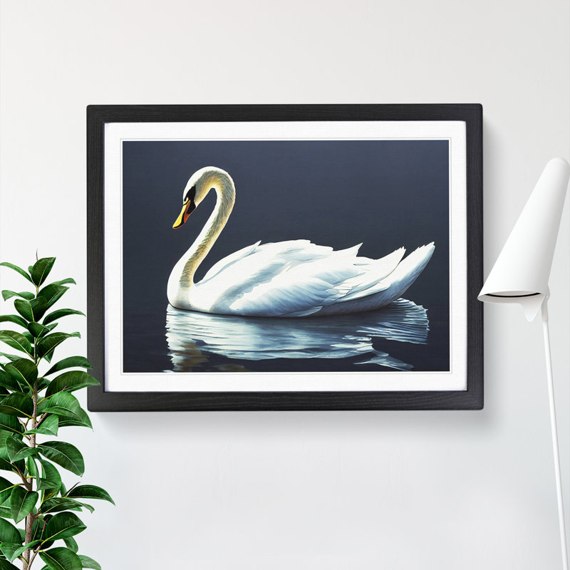 Astounding Swan - Single Picture Frame Print, Black, 46cm H x 64cm W