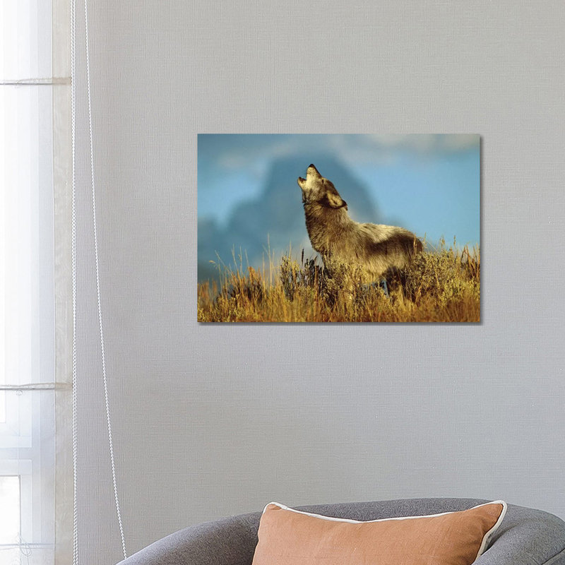Timber Wolf Adult Howling, Teton Valley, Idaho by Tom Vezo - Wrapped Canvas Painting, 66.04 cm H x 45.72 cm W x 1.91 cm D