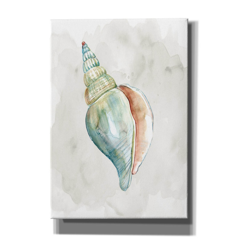 «Pastel Shell II» par Carol Robinson, H 26 po x l 18 po