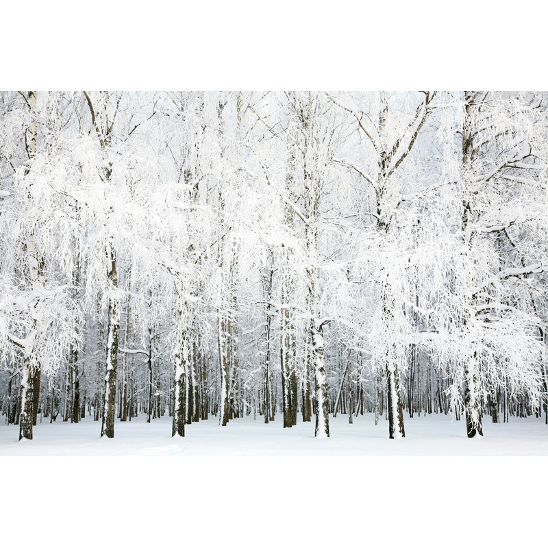 «Winter russe» par Lenikovaleva - photographie sur toile tendue, H 8 po x l 12 po