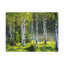 No Frame Print on Canvas-1143165871