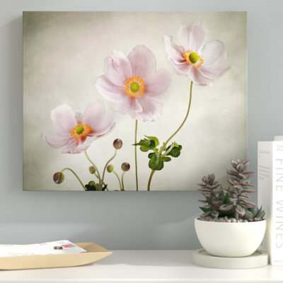 « anemones », impression sur toile