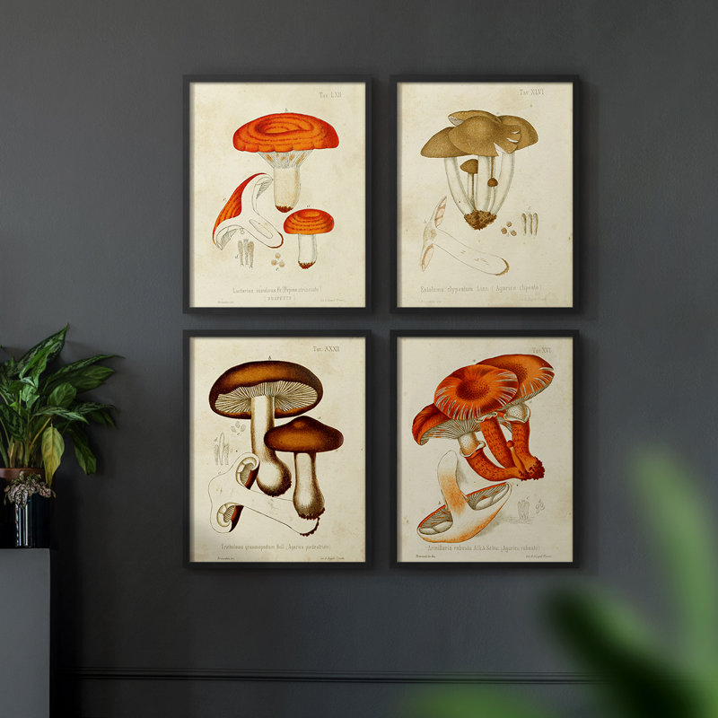 «Mushroom Variétés I», 4 pièces sur papier, Cadre noir, H 14 po x l 44 po