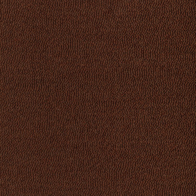 Vortex Boucle